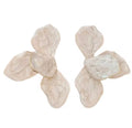 Griselda Earrings