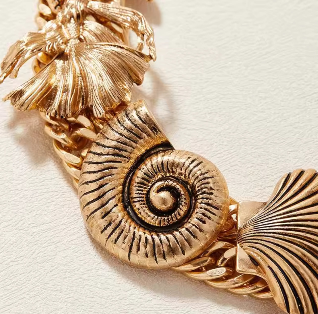 Seashells de Vaquera